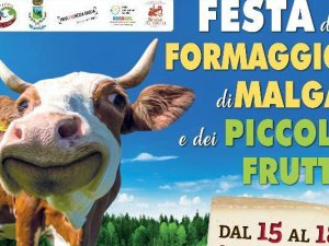 Festa del Formaggio di Malga e Piccoli Frutti 2025 – Sapori alpini tra natura e tradizione