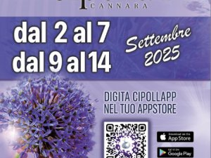 43ª edizione 2025 – Festa della Cipolla