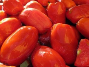22° Edizione - Sagra del Pomodoro San Marzano 2025
