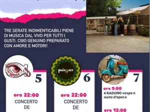 Festa della Madonna delle Grazie 2025