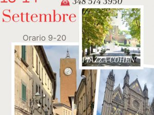 Mostra Mercato di Artigianato 2025