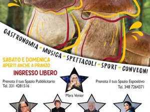 Festa del Fungo Porcino e Mostra Mercato 2025