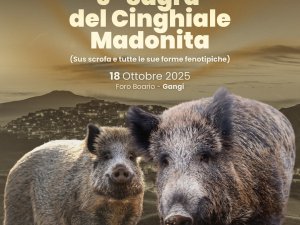 Sagra del Cinghiale Madonita 2025