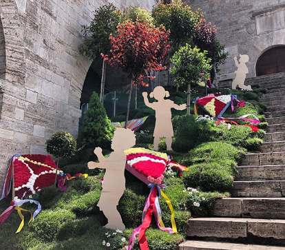 Todi Fiorita