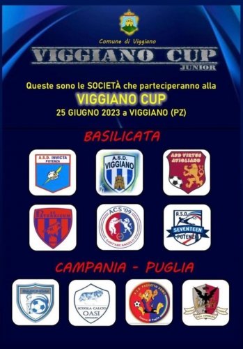 Viggiano Cup Junior