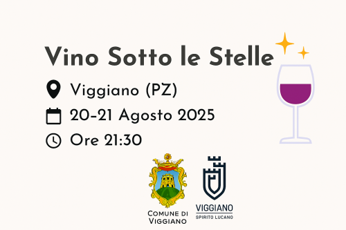 XVI Edizione - Vino Sotto le Stelle a Viggiano – degustazioni e magia nel centro storico