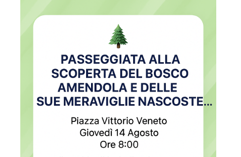 Passeggiata alla scoperta del Bosco Amendola e delle sue Meraviglie Nascoste