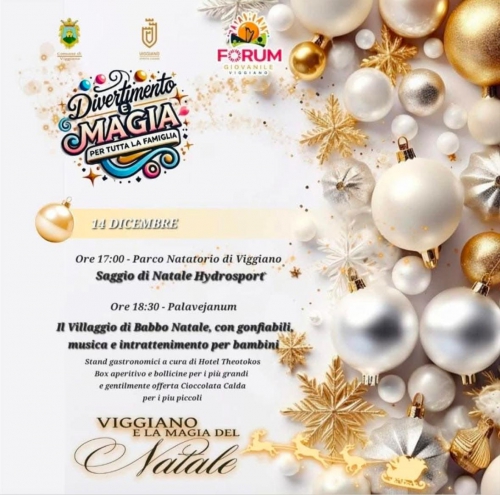 Divertimento e Magia per Tutta la Famiglia: Parco Natatorio