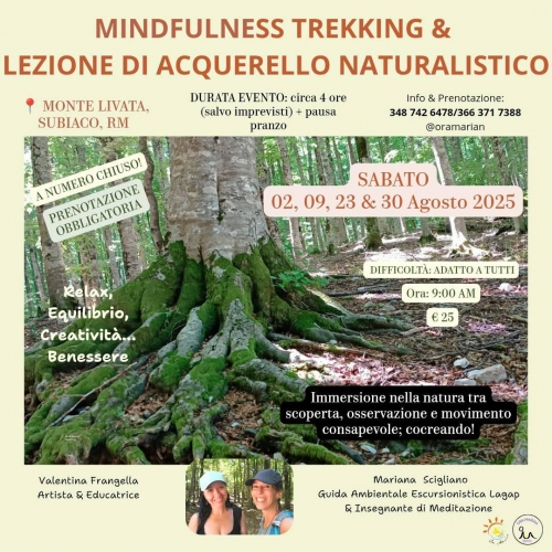 Mindfulness tra i boschi 2025