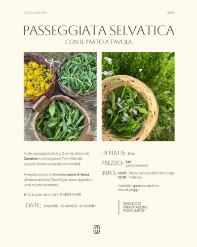 Passeggiata Selvatica 2025