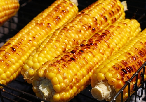 Sagra das Panolas 2025
