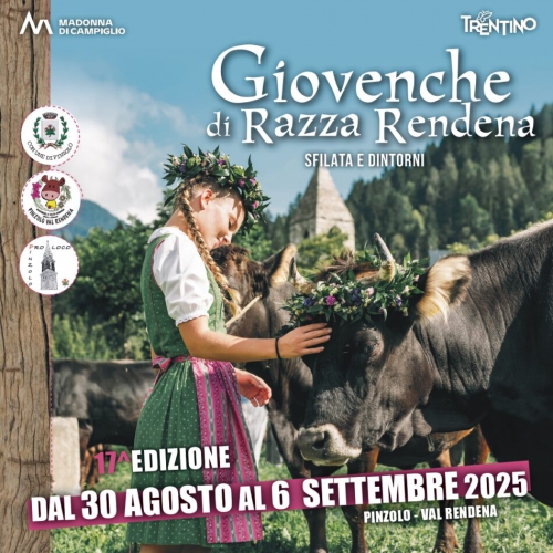 Giovenche di razza Rendena – Sfilata e dintorni