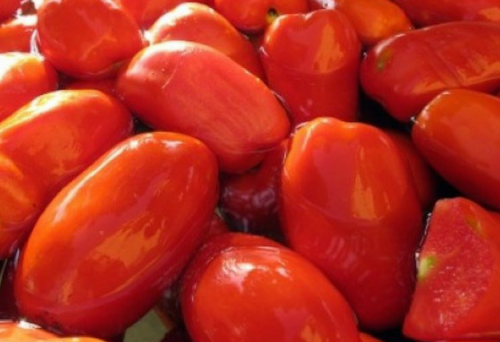 22° Edizione - Sagra del Pomodoro San Marzano 2025