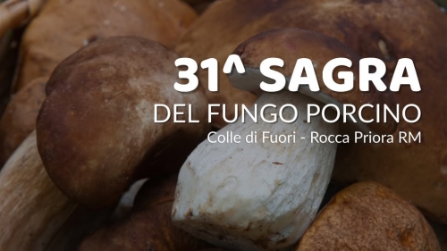 31ª Sagra del Fungo Porcino 2025