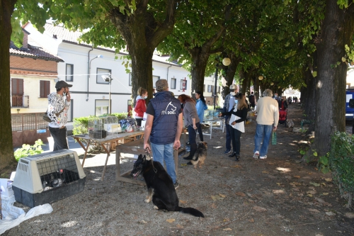 Mostra - mercato dei piccoli animali