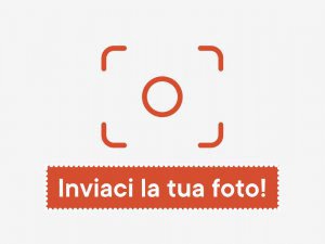 Bibbona (LI)