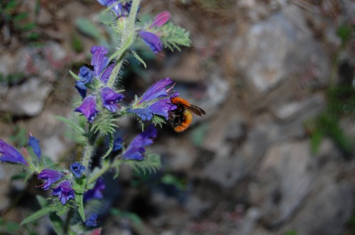 Alla scoperta della montagna di Buccino