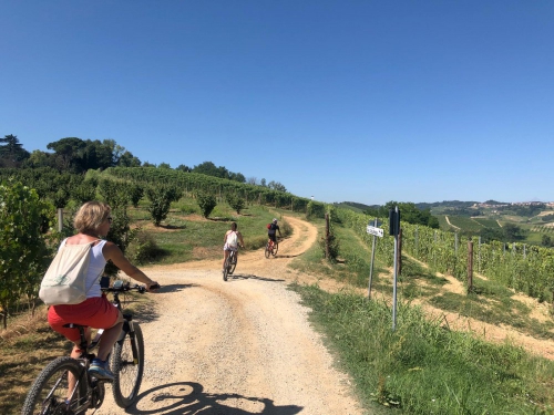 Tour in e-bike – Pedalando tra Monferrato e Roero