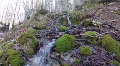 Sorgenti della Valle del Cosa, delle Terre mute e Bosco di Rivituro