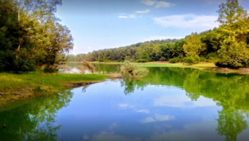 Passeggiata alla Riserva Naturale Oasi San Giuliano