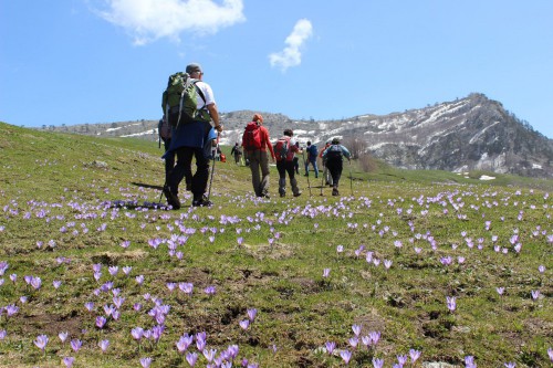 Alla vetta di Serra di Mauro (1.579 m)