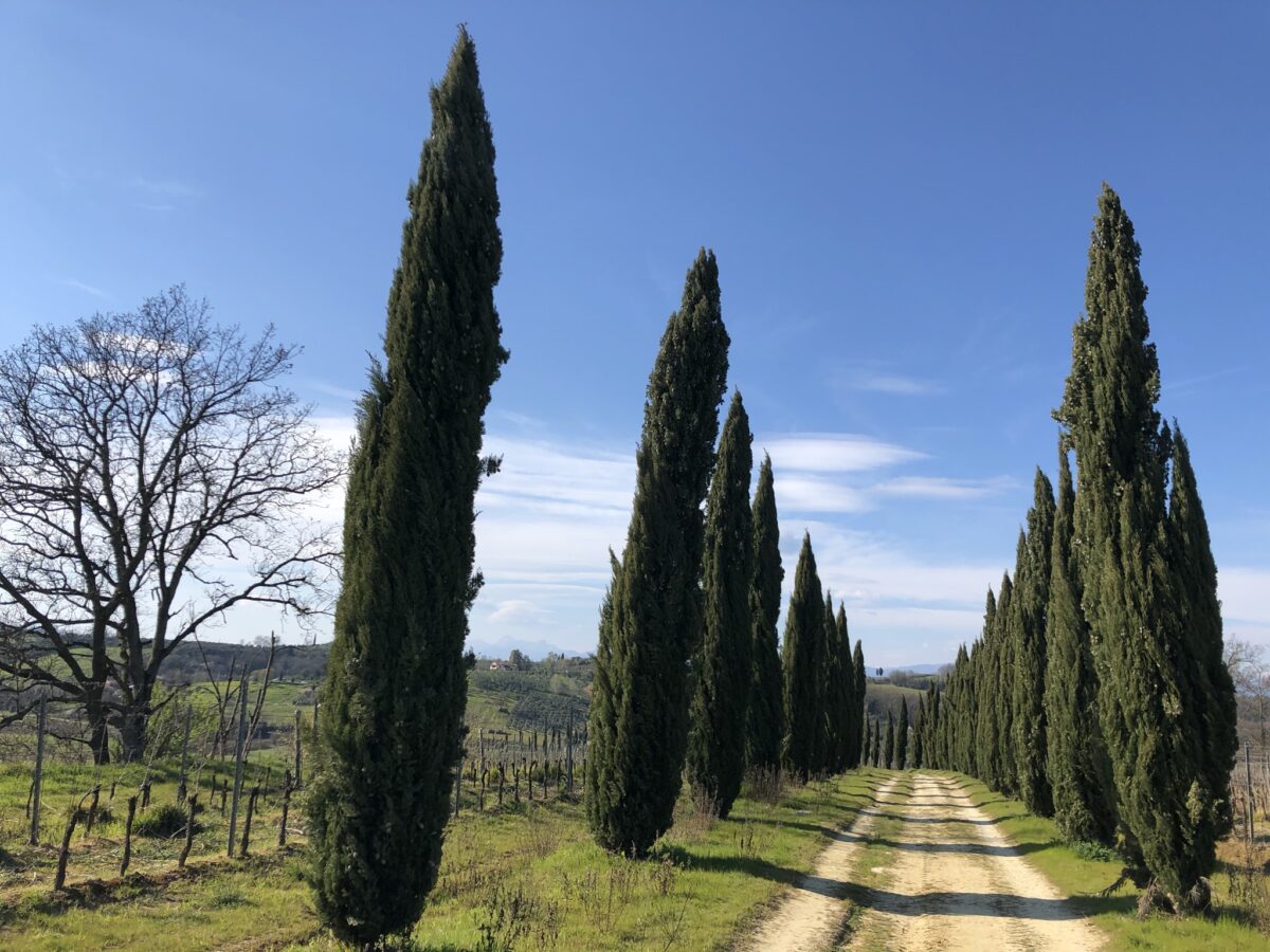 Salendo da Valbugiana a La Scheggia