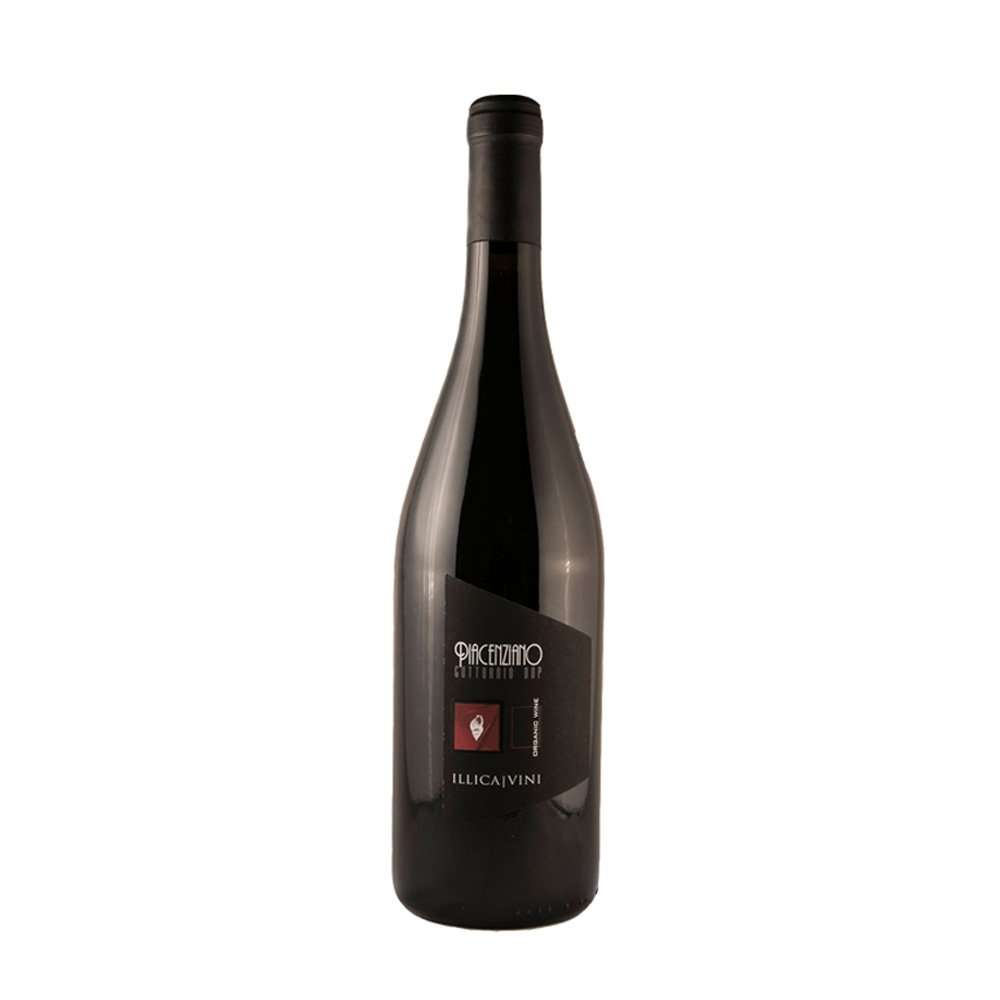  Foto Piacenziano - Gutturnio Frizzante DOP BIO 2020 - 0,75 l