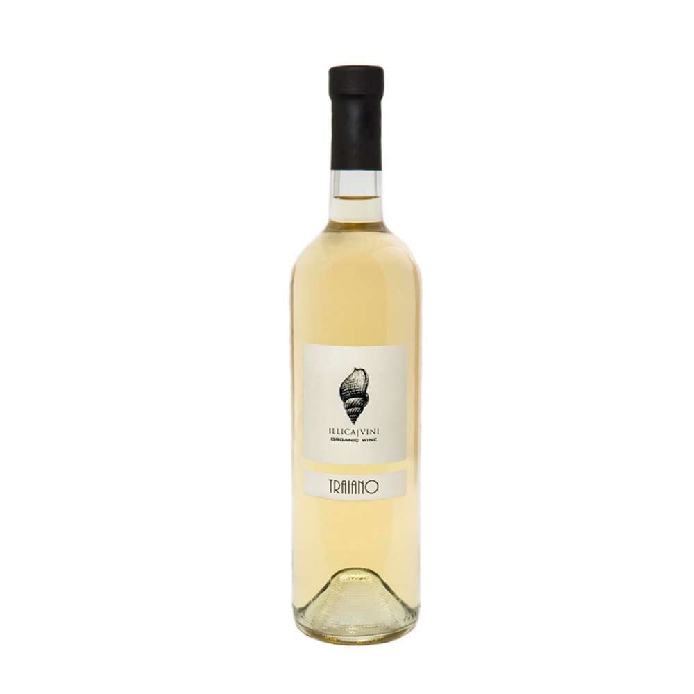  Foto Traiano - Vino Bianco Fermo 2019 - 0,75 l