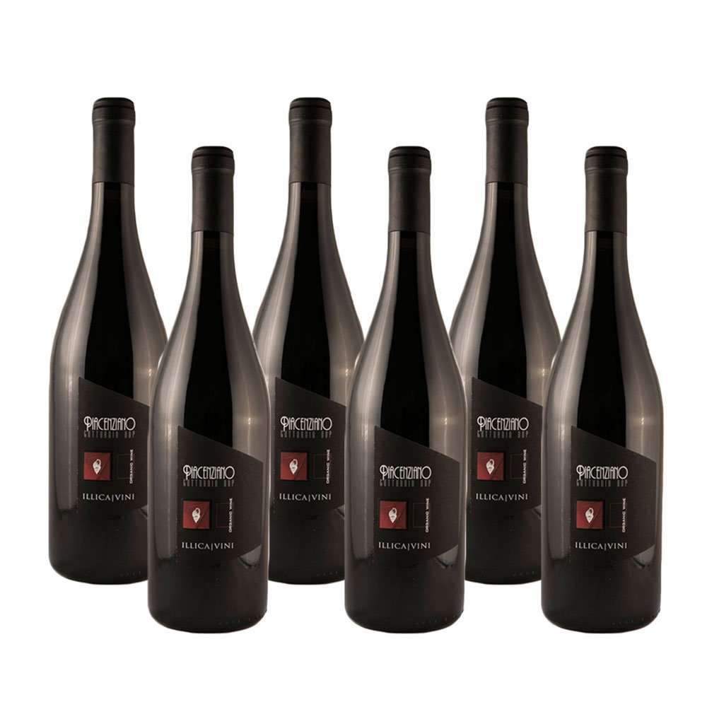  Foto Piacenziano - Gutturnio Frizzante DOP BIO 2020 - 6 x 0,75 l