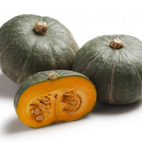  Foto Zucca Delica BIO kg 1,25