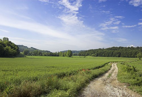 Sommacampagna (VR)