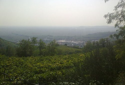 Gambellara (VI)