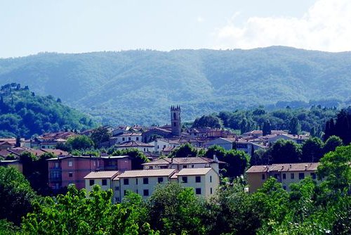 Cavriglia (AR)