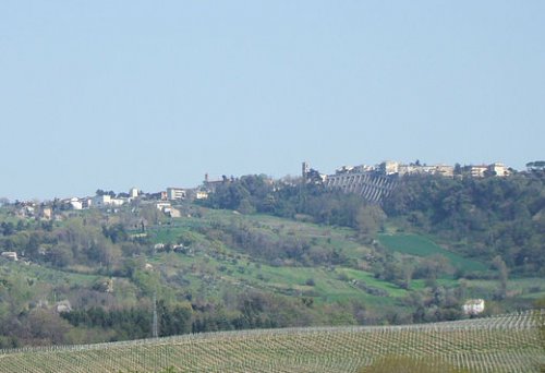 Maiolati Spontini (AN)
