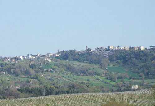 Maiolati Spontini (AN)